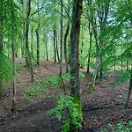 Hébergement de vacances Maison Normande Avec Grand Jardin Proche De La Et De Paris