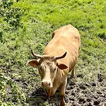 Hébergement de vacances Maison Normande Avec Grand Jardin Proche De La Et De Paris *
