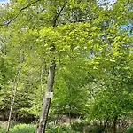 Hébergement de vacances Maison Normande Avec Grand Jardin Proche De La Et De Paris