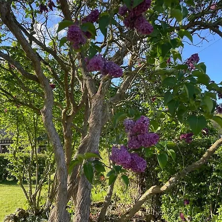 Hébergement de vacances Maison Normande Avec Grand Jardin Proche De La Et De Paris *