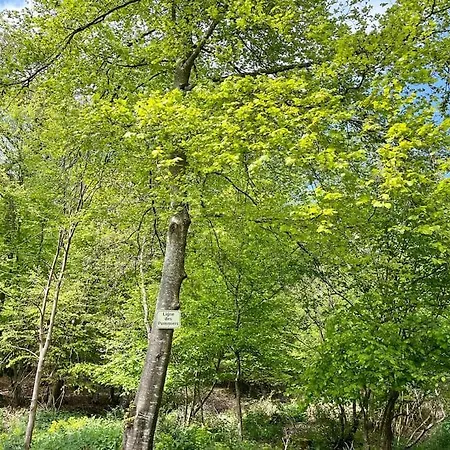 بيت للعطل Maison Normande Avec Grand Jardin Proche De La Et De Paris